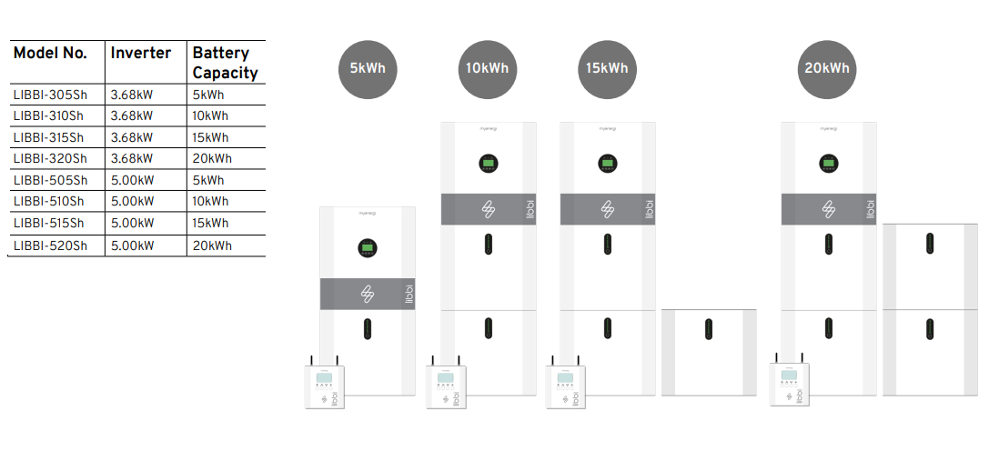 Model Variations libbi 